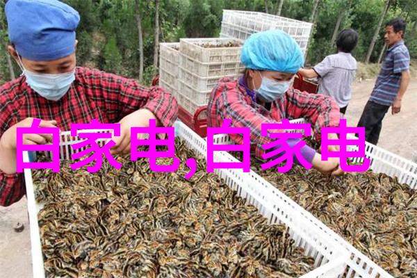 重庆钢结构俺们的钢铁巨龙