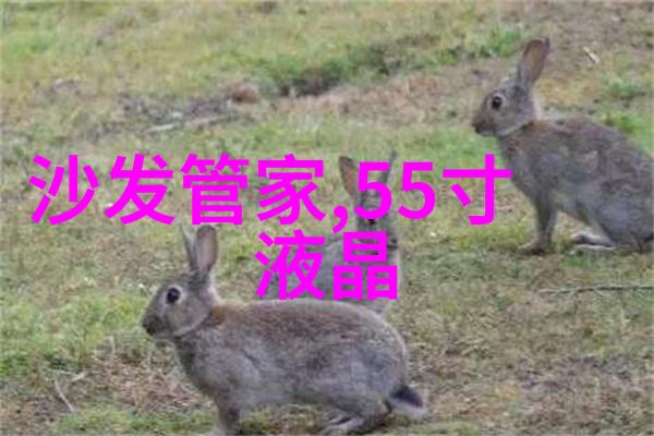 坚固的防线人防设计在建筑安全中的重要性探究