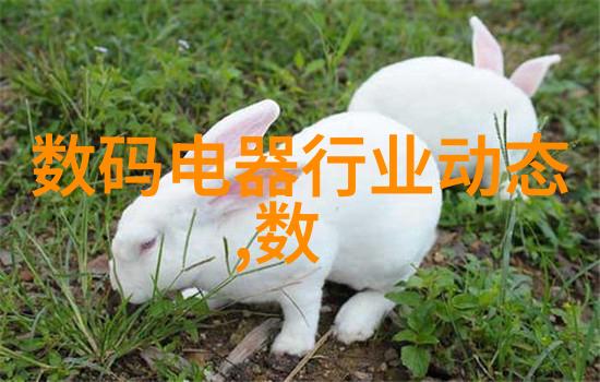 创意生活如何通过信用家装修提升居住品质