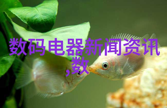 高效干燥技术的带式设备革新