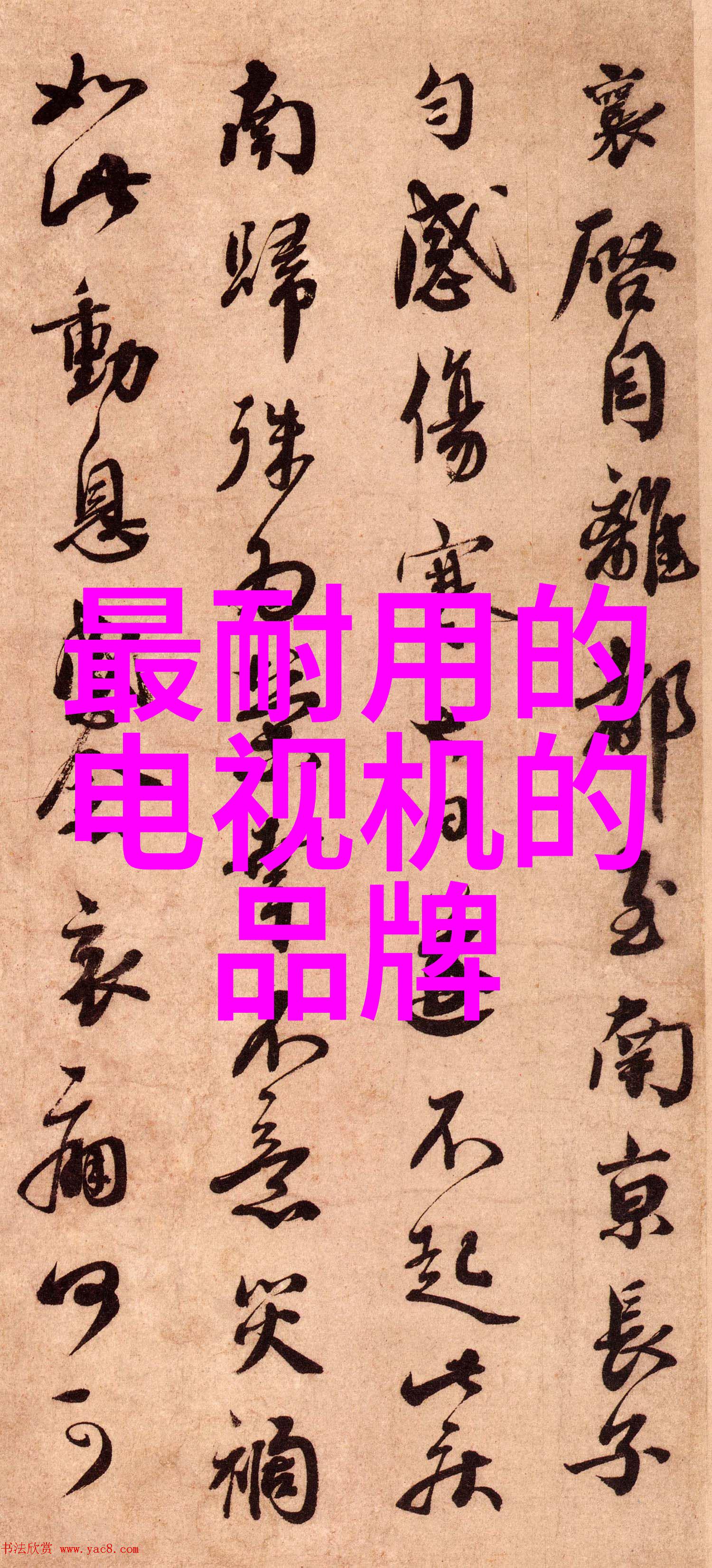 激动风暴我眼中的狂欢城市的热情夜晚
