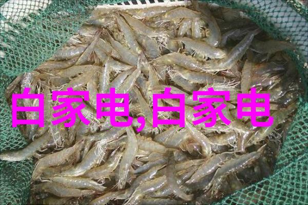 化工贮存设备的安全性研究基于先进储罐技术与环境适应性的综合评估