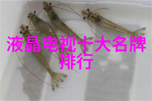 镜头启航探索尼康D5000的无限可能