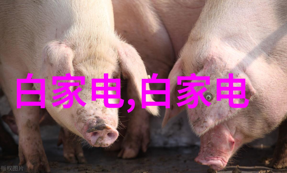 不锈钢圆管价格304价格表我来帮你一目了然