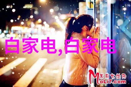 机械制造-传动带的选择与维护确保生产线的连续性与效率