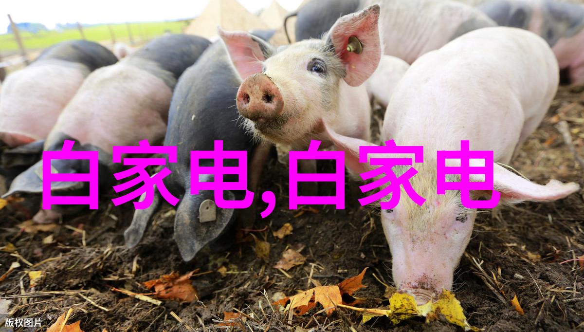 药厂中不可或缺的精密仪器与其应用探究