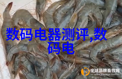 新疆财经大学的秘密账簿