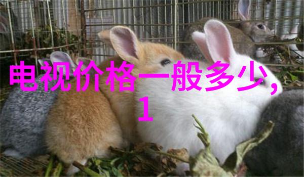 智能机器视觉系统开启新时代的计算机视觉革命
