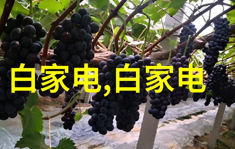 案例2