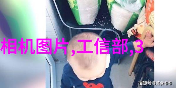 夏日冷藏攻略解密冰箱1-5档的最佳选择
