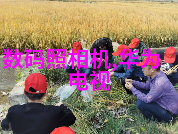 中国摄影艺术协会推广中国摄影文化促进摄影艺术发展