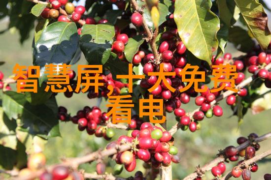 化学元素的新篇章2021年价格变动探索