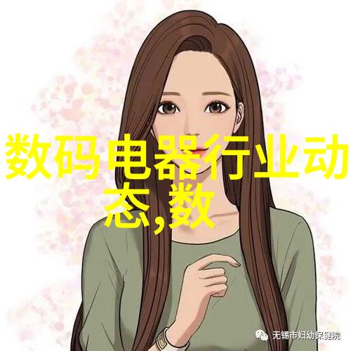 白家电时代家庭生活的革新与升级