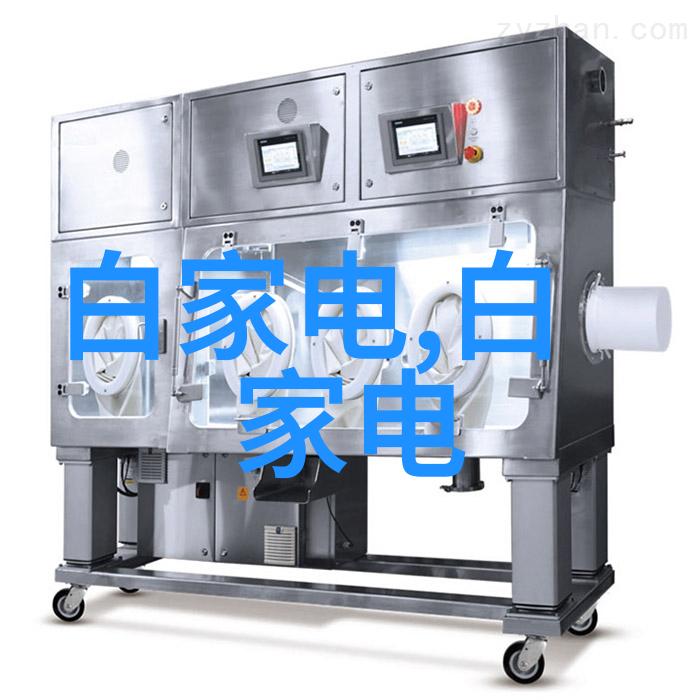 清洁艺术揭秘干洗技术的奥秘与魅力