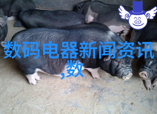 东北财经大学我在这里找到了学业与生活的双重丰收