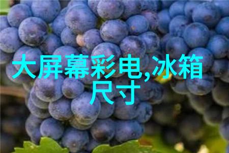 财务风暴揭开公司帐簿的神秘面纱