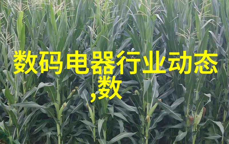 ACCA少女SDANVI探秘揭开神秘组织背后的美丽面纱