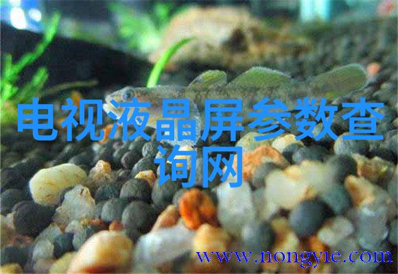 净化水设备生产厂专业制造高效率清洁系统
