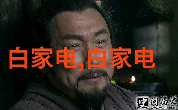未来看点全球顶尖医疗器械招商平台有哪些亮眼项目