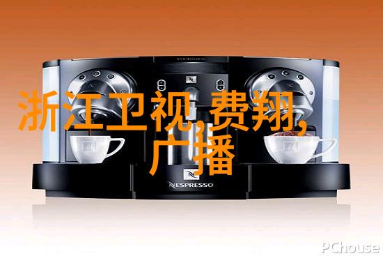 TDS笔骗局数字货币的虚假繁荣