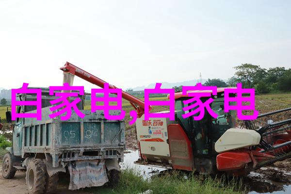 项目实施前期评估与规划的专业服务