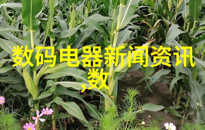 国际化教育背景下山东商業職業技術學院的海外合作项目探究