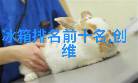 丝网规整填料型号高效纺织材料精密编织技术