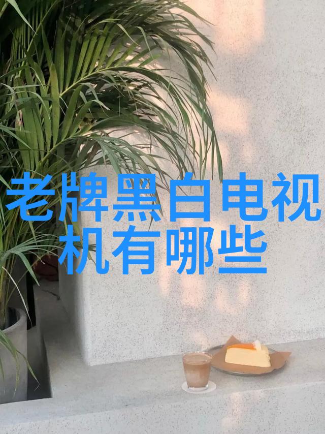 中国镜头聚焦国度的视觉诗人