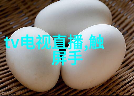 经典客厅装修效果图 - 温馨典雅探索经典客厅装修效果图的艺术之美