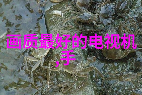 智能物流技术我是如何用科技让货物运输更神奇的