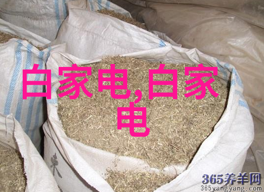 贮存设备-探索现代贮存设备的创新与发展