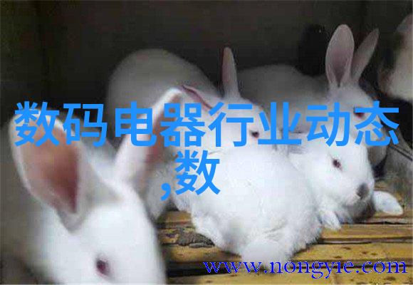 现代家居风尚创意电视墙设计新趋势