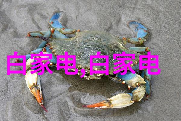 超级跑道上飙速飞驰展示地球上最快速度记录者各种类型高速试验用的特殊交通工具