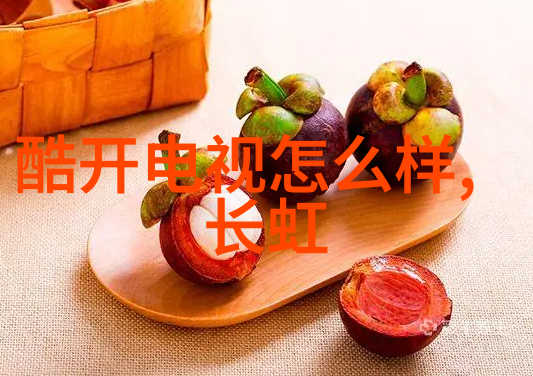 pa6PA6纤维的未来绿色环保材料的探索与应用