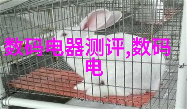篮球风云虎扑社区里的热血追梦者