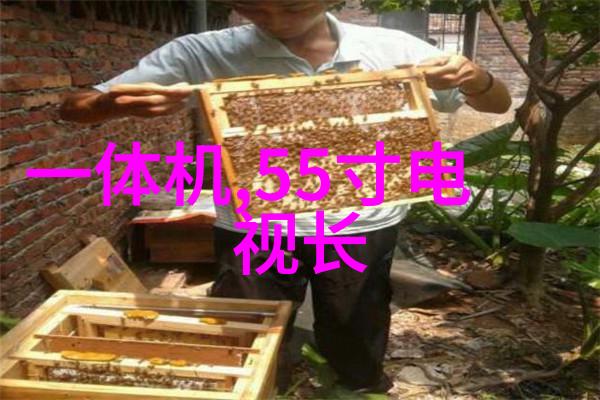 小年到
