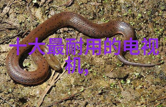 零部件的定义-构建大器小物的基石