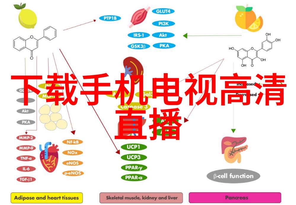 厨房油水分离器的选择与使用技巧