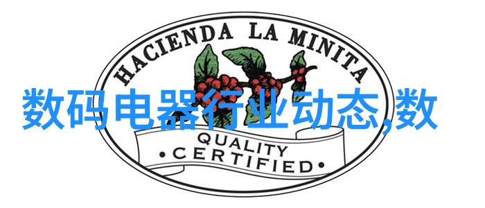 兰州财经大学金砖与金钱的交响曲