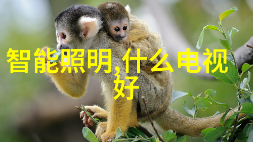 温暖的羽翼小鸭圣吉奥的成长故事