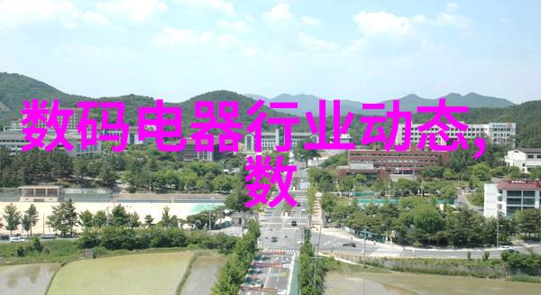 高压蒸汽灭菌大师上海申安手提式DSX-18L精准消毒助手