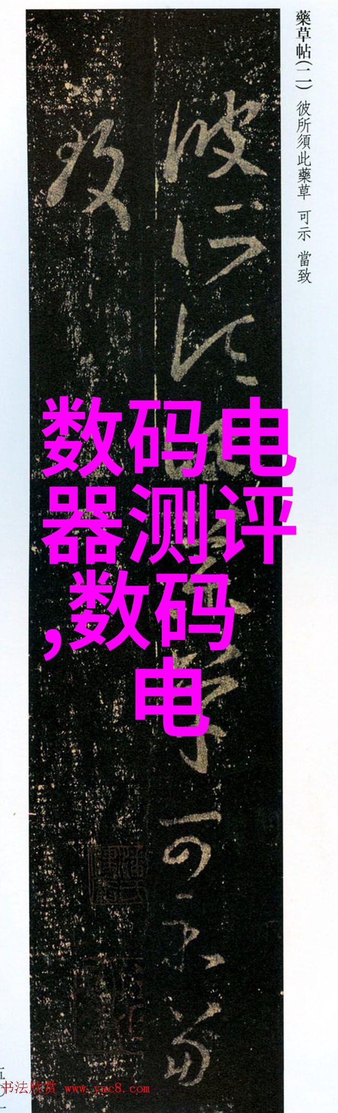 广东技术师范大学我在这里的故事从书本到实践的转变