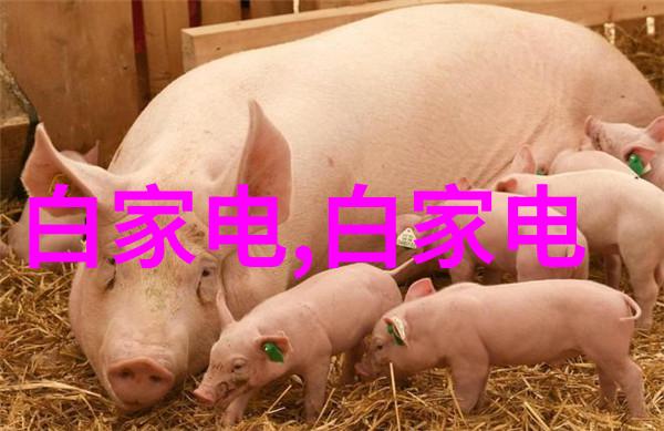 贵州实验室高端设备贵州省先进科研设施