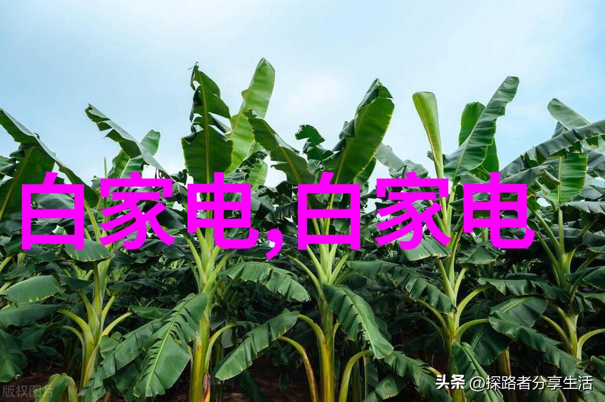 辽宁工程技术大学在中国高等教育体系中占据什么地位