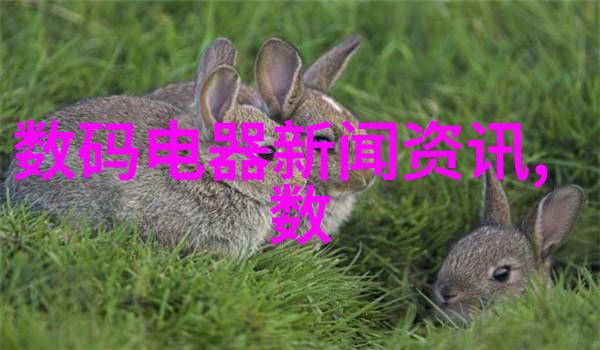 第一财经今日股市深度解析中国股市最新动态