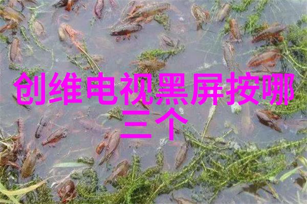 化工废旧回收新篇章绿色循环的智慧之网