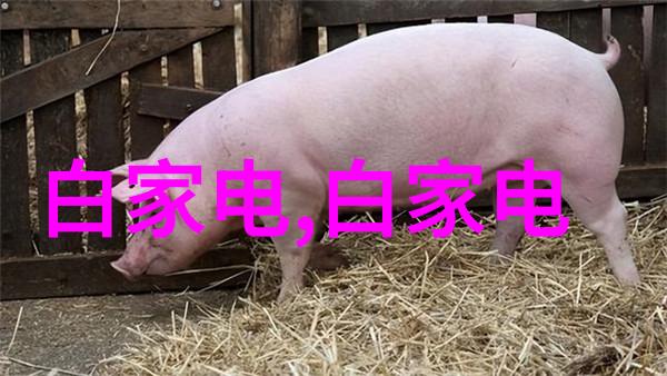 本周工作汇报