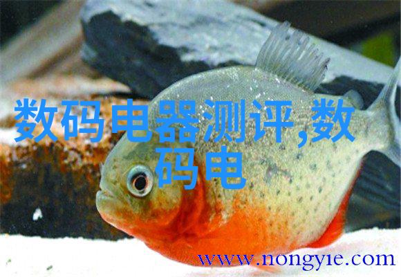 北京软件测评公司我来看看这些软件到底怎么样