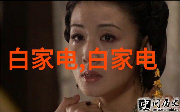 中式装修风格的魅力与挑战