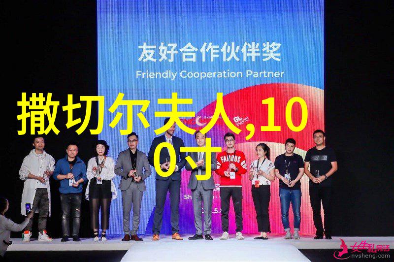 塑料静电分离机器价格探索成本分析与市场走向